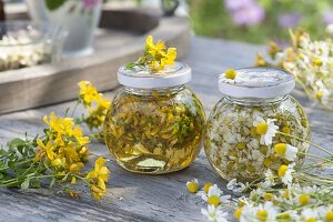 Nourishing herbal oil homemade