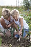 Mutter und Tochter säen Spinat (Spinacia oleracea) ins Gemüsebeet