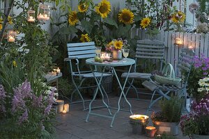 Abendliche Sommer-Terrasse mit Helianthus (Sonnenblumen)