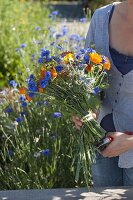 Make a blue-orange summer flower bouquet