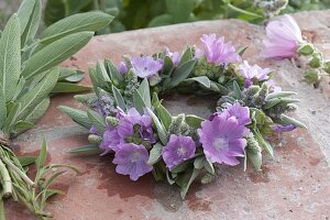 Kräuter - Blüten - Kränzchen aus Malva (Malven), Salbei (Salvia)