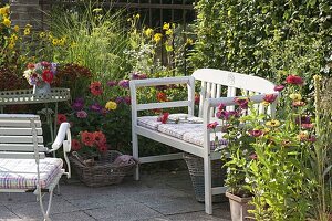 White bench between summer flowers