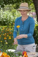 Woman tying colourful summer flower bouquet