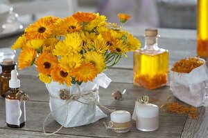 Calendula (Ringelblumen) sind vielseitig verwendbar