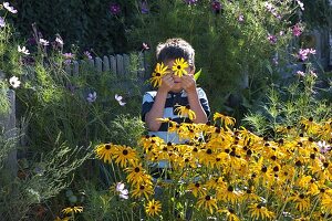 Children picking coneflowers