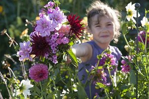 Mädchen pflückt Blumen für Spaetsommerstrauss