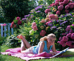 Young woman on blanket in front of flowering hydrangea (hydrangea bed)