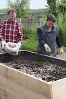 Building a raised bed from boards