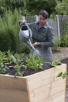 Build a raised flower bed of boards