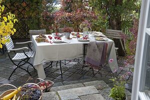 Herbstlich gedeckter Tisch mit Äpfeln (Malus), Sträuße aus Rosa