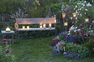 Peasant garden with Cosmos (ornamental basket), Penstemon