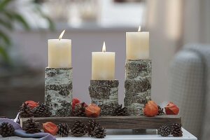 Pieces of Betula (birch) as candle holder on wooden board, cones of Pinus