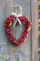 Heart of ornamental apple (Malus) as door wreath