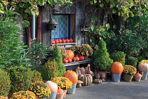 Vorgarten und Hauseingang herbstlich dekoriert