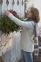 Woman hanging Viscum album (mistletoe bush) with chequered ribbon