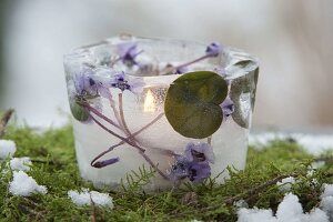 Eiswindlichter mit eingefrorenen Blüten von von Cyclamen