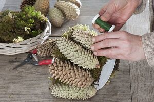 Christmas star in pine cone vase