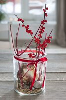 Amaryllis grown in glass with pebbles