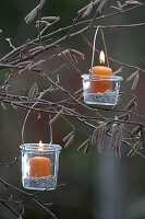 Kleine Windlichter an Zweigen von Corylus avellana (Haselnuss)