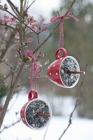 Birdseed in different hanging containers