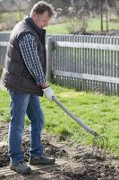 Man loosening soil with a rake