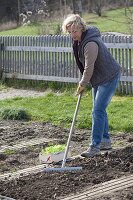 Woman smoothing soil with rake to plant lettuce (lactuca)