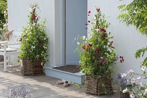 Covering planters with self-made wickerwork elements