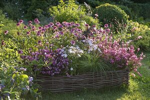 Bed edging made from hazel rods