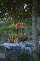 Covered table in flower garden under walnut tree