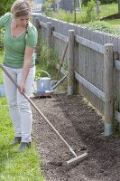 Sowing flower meadow 'Beautiful Land