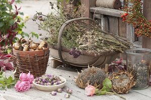 Korb mit getrockneten Sommerblumen und Kräutern für die Samen-Ernte