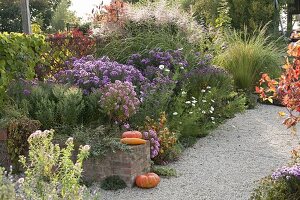 Autumn bed on gravel path