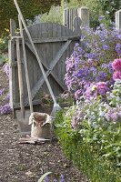 Offenes Gartentor im herbstlichen Bauerngarten