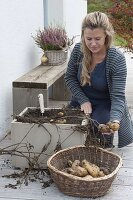 Potato crate on the terrace