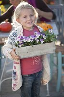 Girl carrying small box of Viola cornuta Twix 'Lilac Wing'.