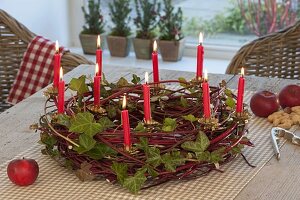 Natural wreath made of twigs of Cornus (dogwood) and Hedera (ivy)