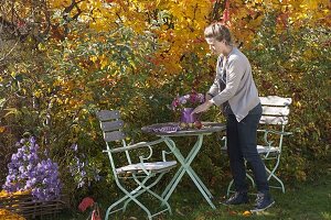 Small seating area with bouquet of asters in front of ironwood tree and ornamental apples