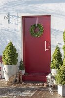 Red front door with conifers in tubs
