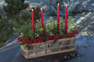 Wooden box clad with birch bark as an unusual Advent wreath