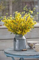 Spring bouquet with branches of forsythia and corylus