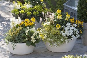 Yellow-white spring bowls