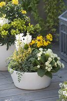 Yellow-white spring bowls