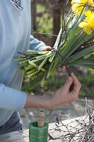 Woman ties a bouquet of narcissus