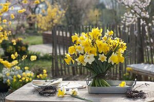 Woman ties a bouquet of narcissus