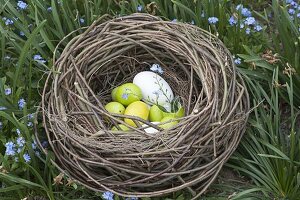 Aus Weidenzweigen selbstgemachtes Osternest zwischen Myosotis