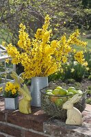 Cutting forsythia branches and stick bouquet