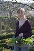 Beet im Biogarten mit Salat, Kohlrabi, Hornveilchen und Petersilie bepflanzen