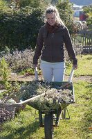 Frau räumt Gemüsegarten im Herbst ab