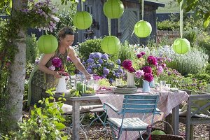 Garden party in early summer under walnut tree