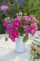 Bouquet of historical pink 'Charles De Mills' (Shrub rose)